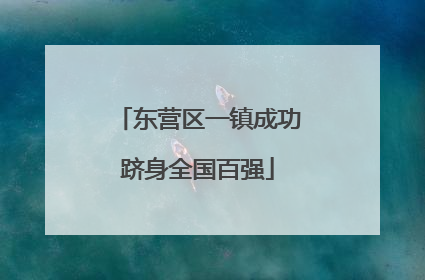 东营区一镇成功跻身全国百强