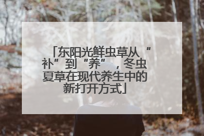 东阳光鲜虫草从“补”到“养”，冬虫夏草在现代养生中的新打开方式