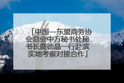 中国—东盟商务协会总会中方秘书处秘书长鹿德晶一行赴滨实地考察对接合作