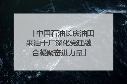 中国石油长庆油田采油十厂深化党建融合凝聚奋进力量