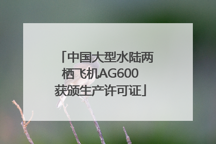 中国大型水陆两栖飞机AG600获颁生产许可证