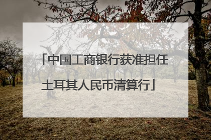 中国工商银行获准担任土耳其人民币清算行