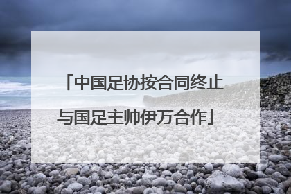 中国足协按合同终止与国足主帅伊万合作