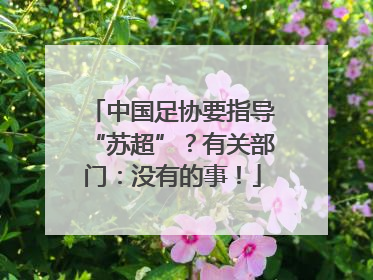 中国足协要指导“苏超”？有关部门：没有的事！