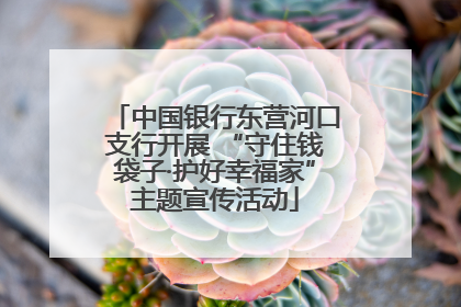 中国银行东营河口支行开展 “守住钱袋子·护好幸福家”主题宣传活动