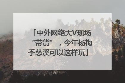 中外网络大V现场“带货”，今年杨梅季慈溪可以这样玩