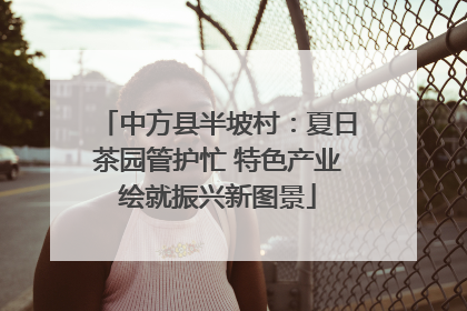 中方县半坡村：夏日茶园管护忙 特色产业绘就振兴新图景