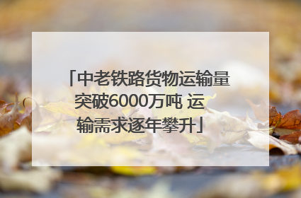 中老铁路货物运输量突破6000万吨 运输需求逐年攀升
