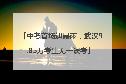 中考首场遇暴雨，武汉9.85万考生无一误考