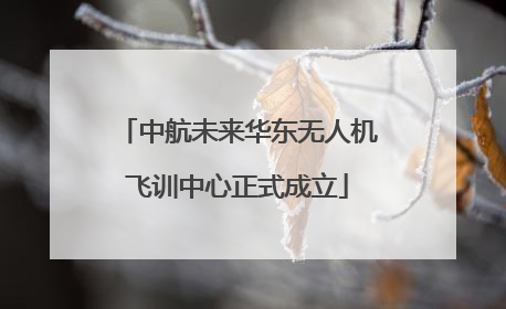 中航未来华东无人机飞训中心正式成立