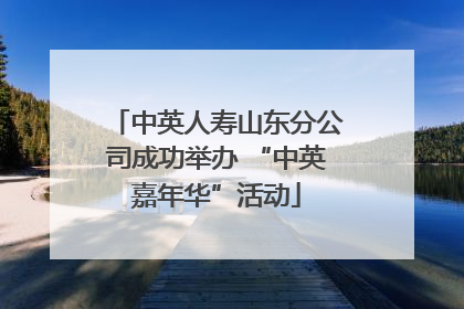 中英人寿山东分公司成功举办 “中英嘉年华”活动