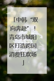 中韩“双向奔赴”！青岛市城阳区打造跨国消费狂欢场