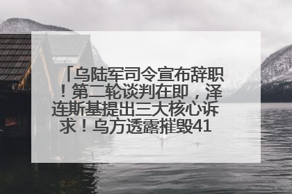 乌陆军司令宣布辞职！第二轮谈判在即，泽连斯基提出三大核心诉求！乌方透露摧毁41架俄战略轰炸机
