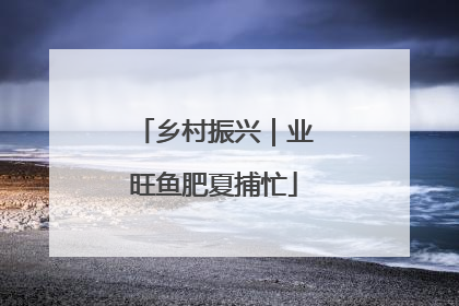 乡村振兴｜业旺鱼肥夏捕忙
