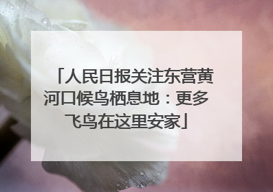 人民日报关注东营黄河口候鸟栖息地：更多飞鸟在这里安家