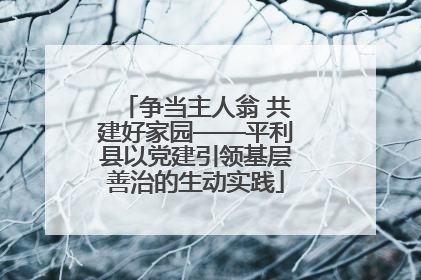 争当主人翁 共建好家园——平利县以党建引领基层善治的生动实践