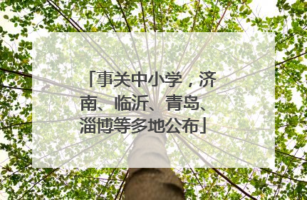 事关中小学，济南、临沂、青岛、淄博等多地公布