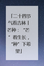 二十四节气看吉林丨芒种：“芒”着生长，“种”下希望