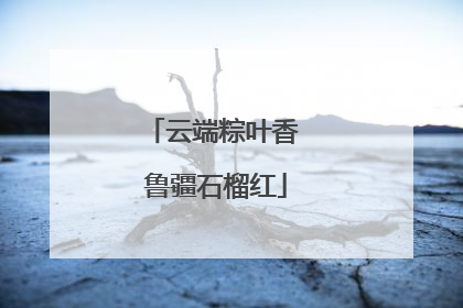 云端粽叶香 鲁疆石榴红