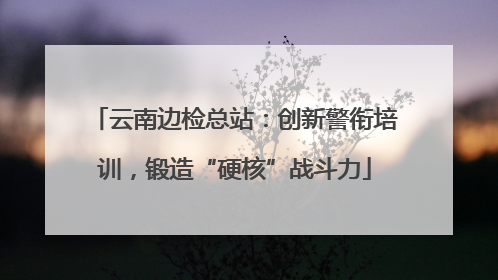 云南边检总站：创新警衔培训，锻造“硬核”战斗力
