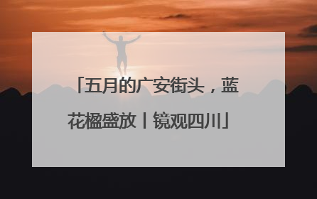 五月的广安街头，蓝花楹盛放丨镜观四川