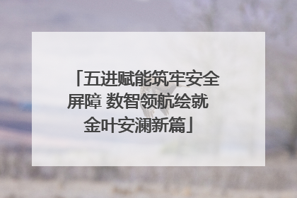 五进赋能筑牢安全屏障 数智领航绘就金叶安澜新篇