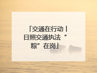 交通在行动丨日照交通执法“粽”在岗