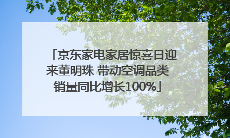 京东家电家居惊喜日迎来董明珠 带动空调品类销量同比增长100%