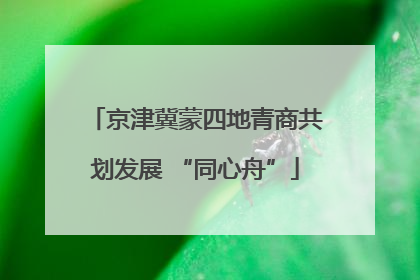 京津冀蒙四地青商共划发展 “同心舟”