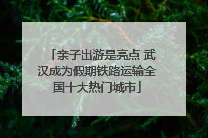 亲子出游是亮点 武汉成为假期铁路运输全国十大热门城市