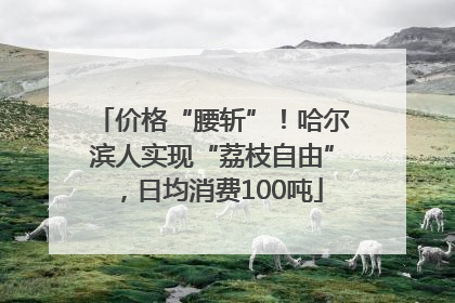 价格“腰斩”！哈尔滨人实现“荔枝自由”，日均消费100吨