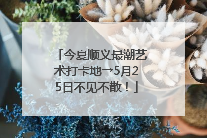 今夏顺义最潮艺术打卡地→5月25日不见不散！