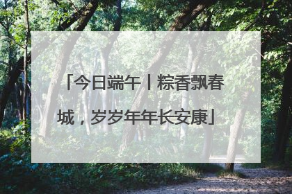 今日端午丨粽香飘春城，岁岁年年长安康