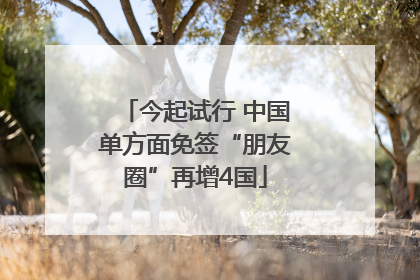 今起试行 中国单方面免签“朋友圈”再增4国