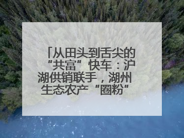 从田头到舌尖的“共富”快车：沪湖供销联手，湖州生态农产“圈粉”大上海