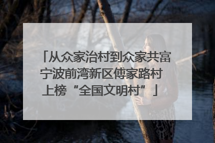 从众家治村到众家共富 宁波前湾新区傅家路村上榜“全国文明村”