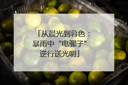 从晨光到暮色：暴雨中“电骡子”逆行送光明