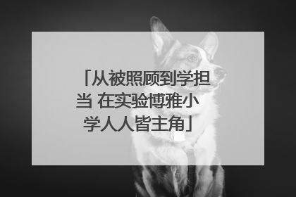从被照顾到学担当 在实验博雅小学人人皆主角