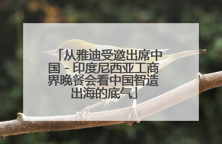 从雅迪受邀出席中国－印度尼西亚工商界晚餐会看中国智造出海的底气