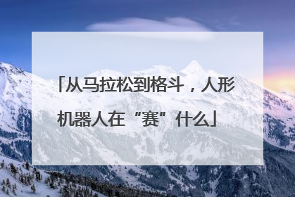 从马拉松到格斗，人形机器人在“赛”什么