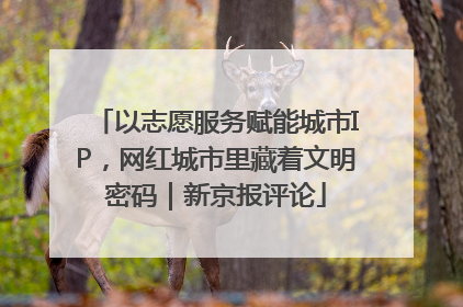 以志愿服务赋能城市IP，网红城市里藏着文明密码｜新京报评论