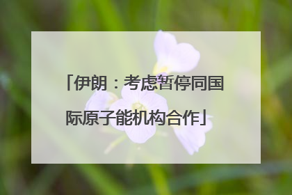 伊朗：考虑暂停同国际原子能机构合作