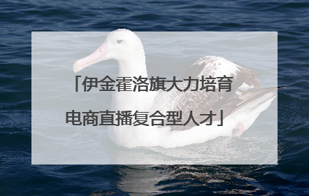伊金霍洛旗大力培育电商直播复合型人才
