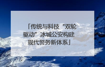 传统与科技“双轮驱动”冰城公安构建现代警务新体系