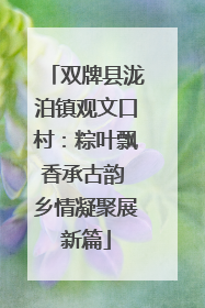 双牌县泷泊镇观文口村：粽叶飘香承古韵 乡情凝聚展新篇