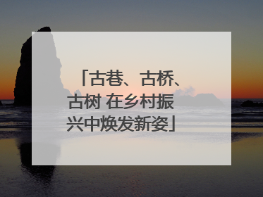 古巷、古桥、古树 在乡村振兴中焕发新姿