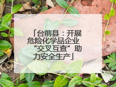 台前县：开展危险化学品企业“交叉互查”助力安全生产