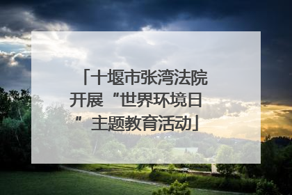 十堰市张湾法院开展“世界环境日”主题教育活动