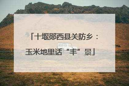 十堰郧西县关防乡：玉米地里话“丰”景