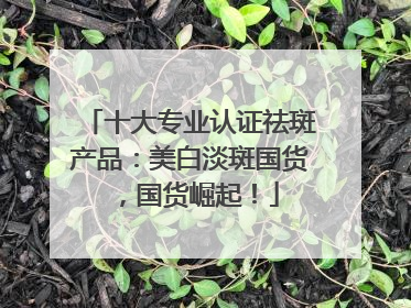 十大专业认证祛斑产品：美白淡斑国货，国货崛起！